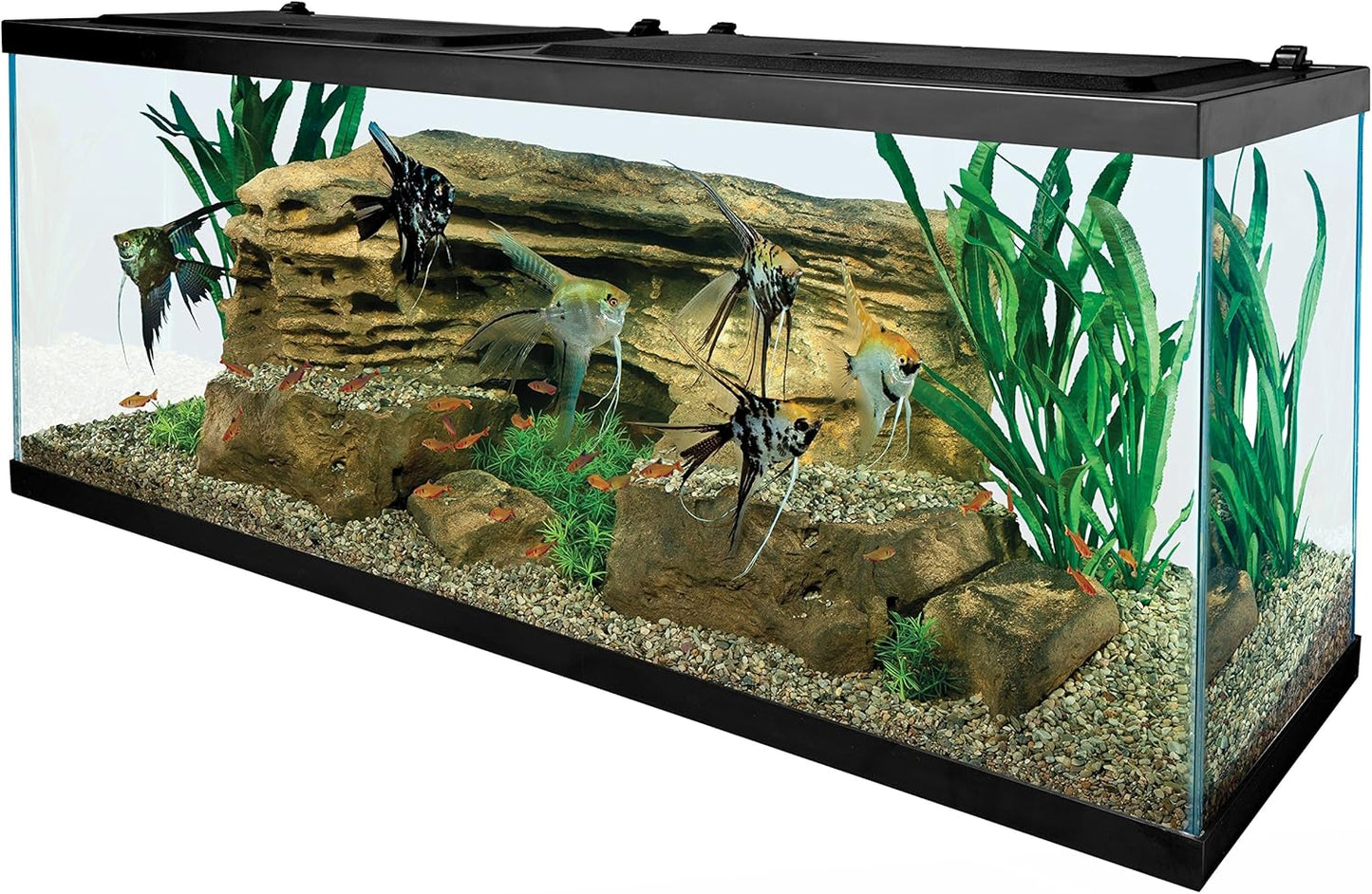Tetra 55 Gallon Aquarium Kit with Fish Tank, Fish Net, Fish Food, Filter, Heater and Water Conditioners