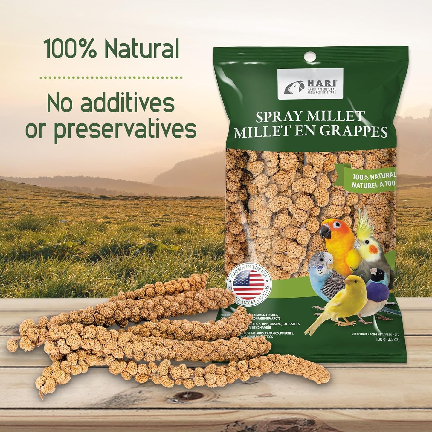 Living World – Millet Spray for Birds, 17.6 Oz – Premium Treat for Budgies, Canaries, Finches, Cockatiels and Other Pet Birds