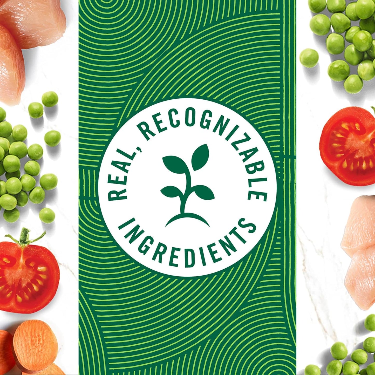 Nutro Puppy Grain Free Natural Wet Dog Food Bites in Gravy Tender Chicken, Sweet Potato & Pea Recipe, 3.5 oz. Trays (24 Count, Pack of 1)