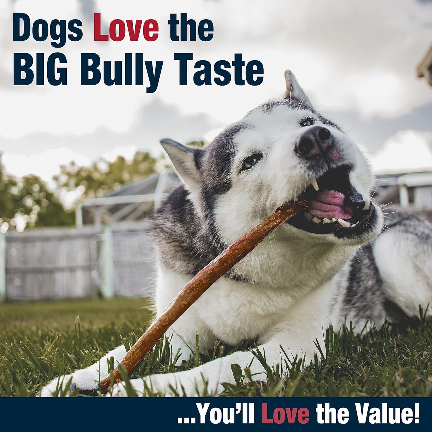 Cadet Bully Hide Sticks for Large Dogs, All-Natural Beef Pizzle, Limited-Ingredient Long-Lasting Dog Chews for Aggressive Chewers, 2 Count