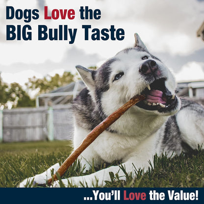 Cadet Bully Hide Sticks for Large Dogs, All-Natural Beef Pizzle, Limited-Ingredient Long-Lasting Dog Chews for Aggressive Chewers, 2 Count