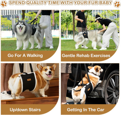 Dog Lift Harness Sling for Medium Dogs & Console Dog Car Seat for Small Dogs