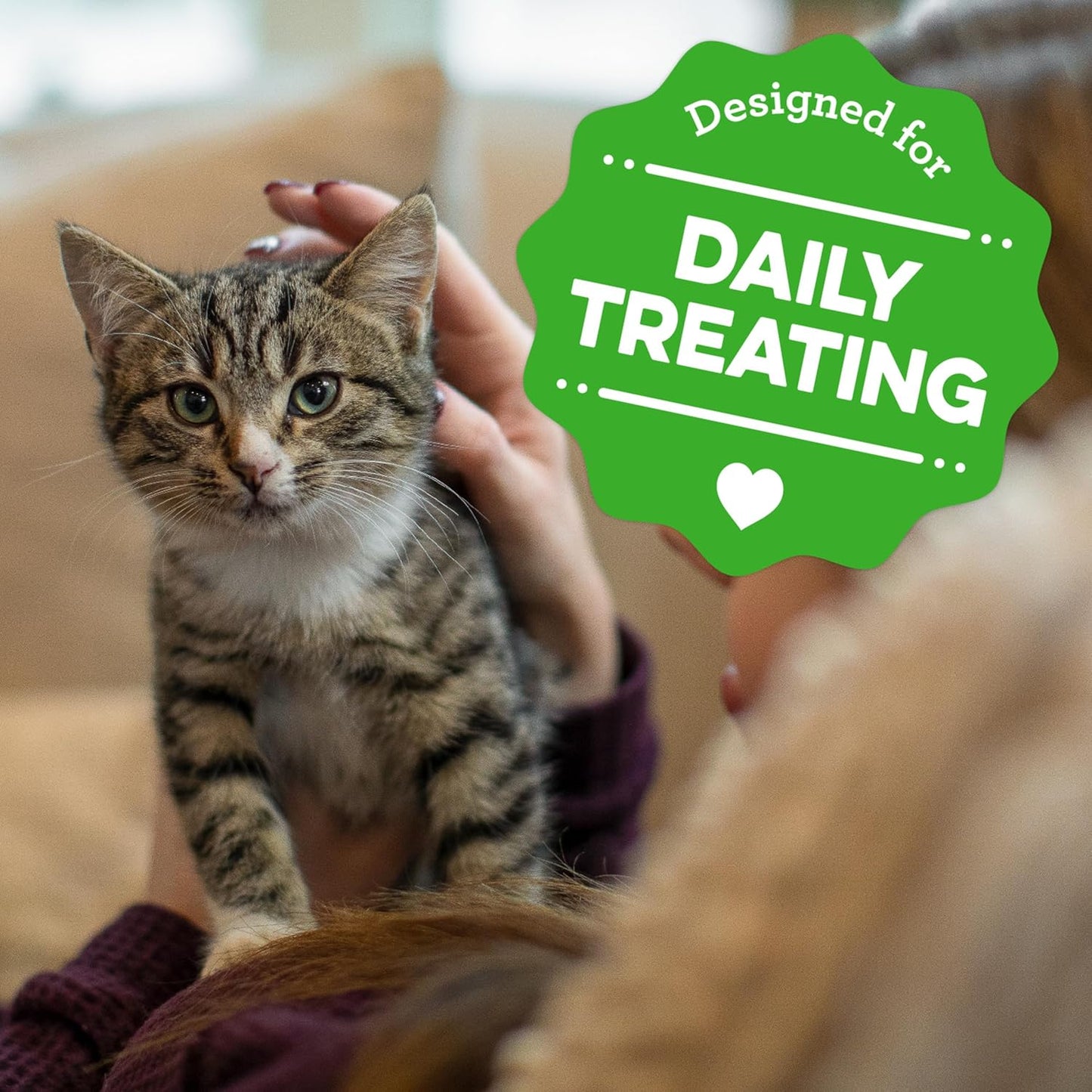 Greenies Feline Smartbites Healthy Kitten Treats, Crunchy and Soft Natural Cat Treats, Chicken Flavor, 16 oz Tub