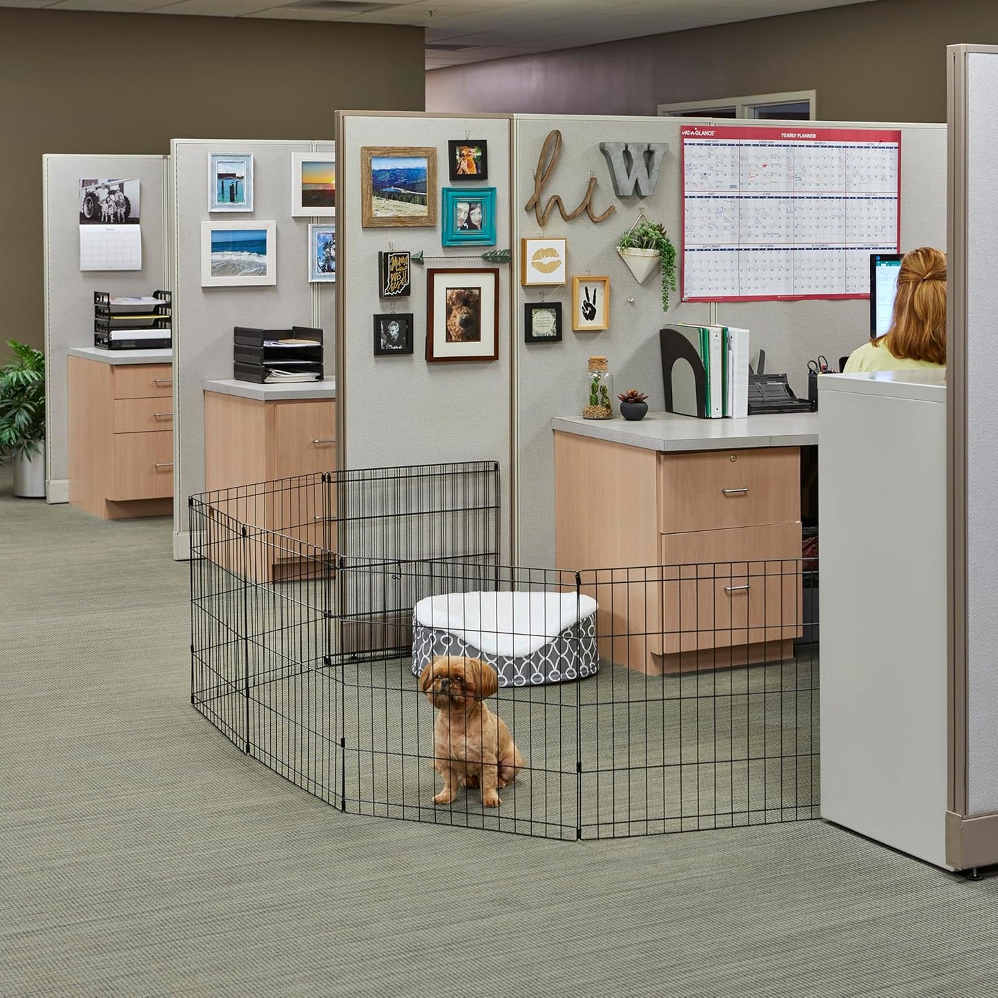 MidWest Homes for Pets Folding Metal Puppy/Dog Exercise Pen, Indoor/Outdoor Playpen with No Door, Provides 16 Sq Feet of Play Space, 30-Inches Tall, Black E-Coated