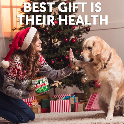 Grass Burn Spot Chews for Dogs - Pee Lawn Spot Saver Caused by Dog Urine - Grass Treatment Rocks - Urine Neutralizer for Green Lawn - Chewable Probiotics, Digestive Enzymes, DL-Methionine - 120 Treats