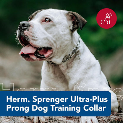 Herm Sprenger Ultra-Plus Prong Dog Training Collar, Chrome, 3.25 mm x 20" Neck Size; 22" Chain Length