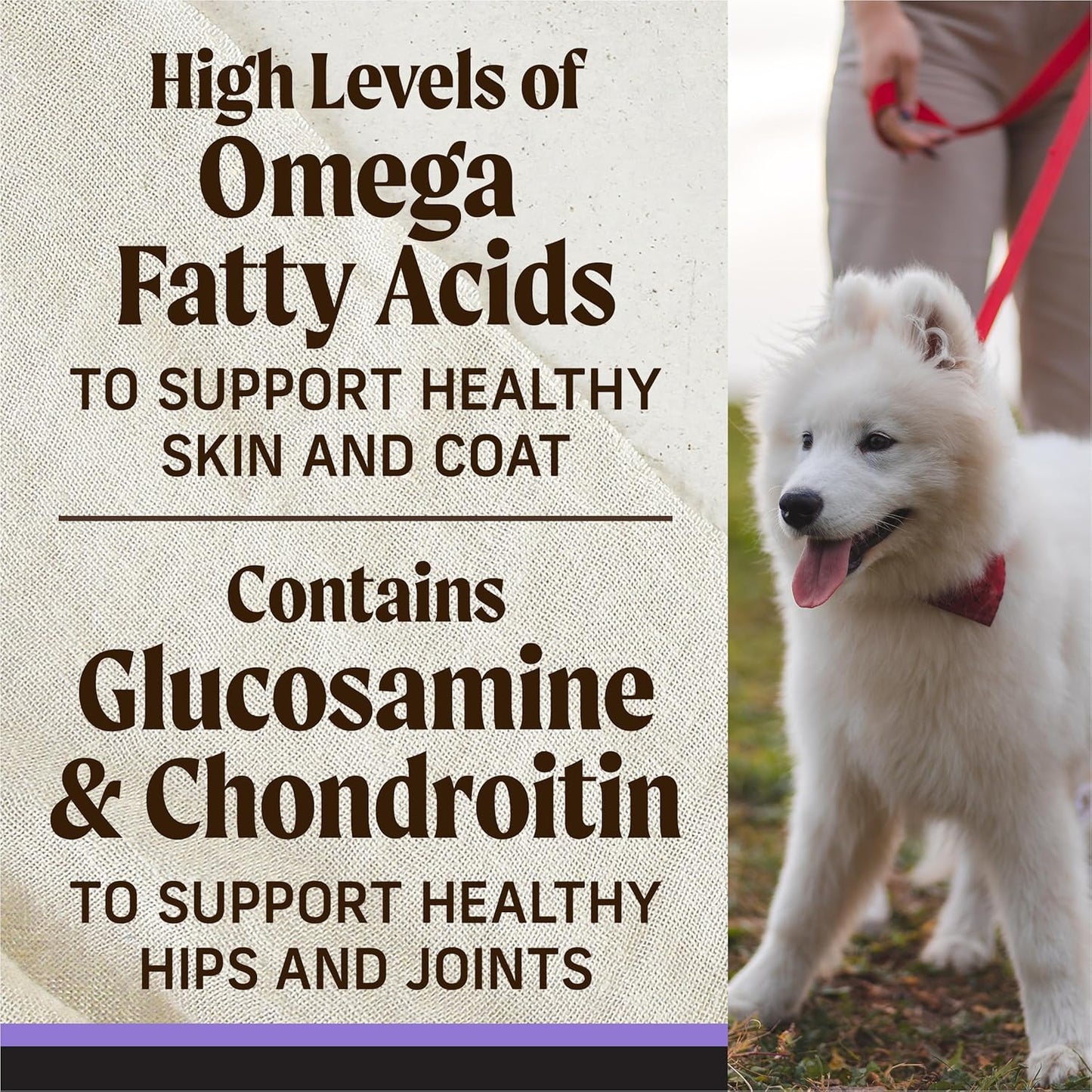 Merrick Backcountry Grain Free Dry Puppy Dog Food, Kibble with Freeze Dried Raw Pieces, Chicken Recipe - 4.0 lb. Bag