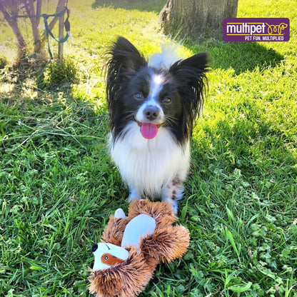 Multipet Bark Buddies Sloth Dog Plush Toy - Squeaky Dog Toy for All Dogs - Extra Soft Plush Dog Toy - Stuffed Animal Dog Toy for Cuddling & Playing - Cute Dog Pet Toy (10")