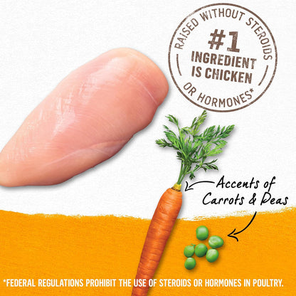 Purina Beyond Chicken, Carrot and Pea Ground Grain Free Wet Dog Food Natural Pate with Added Vitamins and Minerals - (Pack of 12) 13 oz. Cans