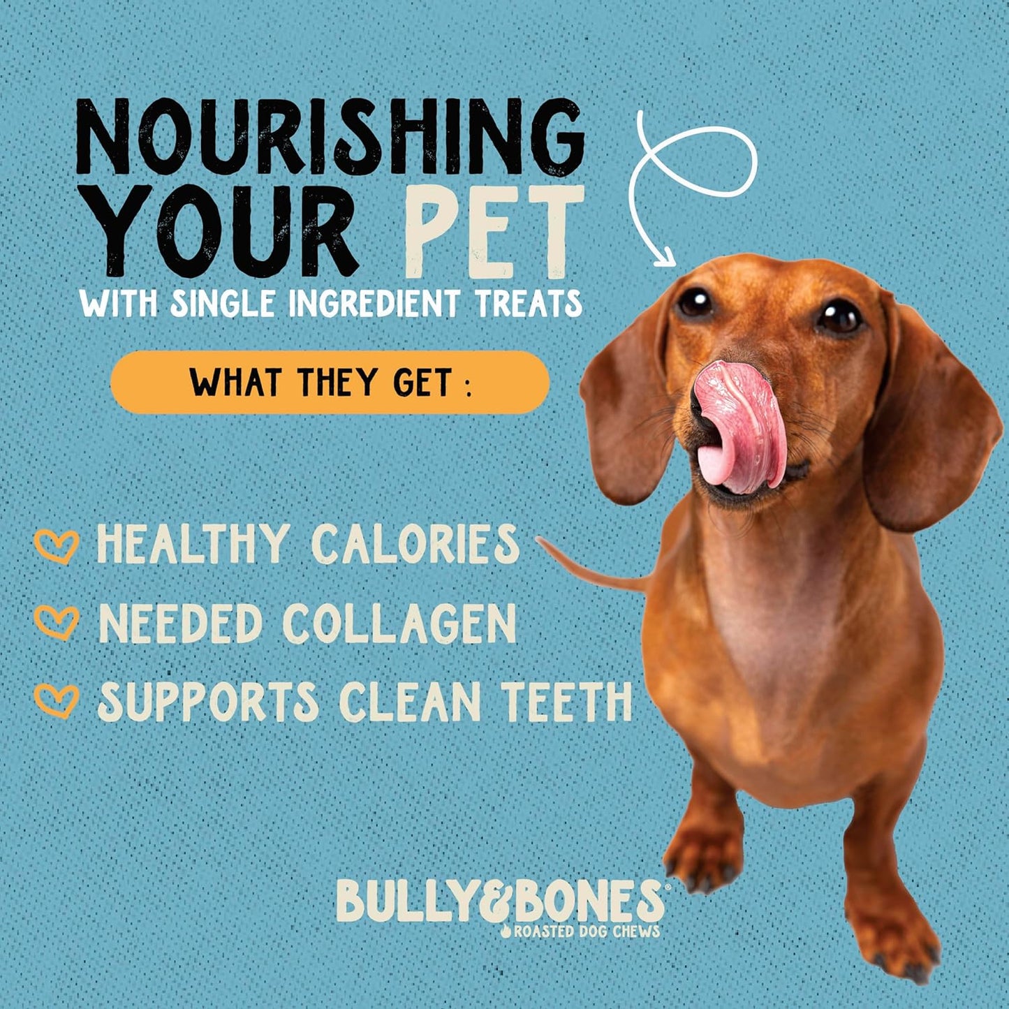 Bully & Bones 6 Inch Cow Ear Rolls (12 Pack) for Dogs. Collagen and Protein Rich, Healthy Single-Ingredient Beef chew Treats Crafted to Stimulate Your Dog’s Taste Buds. 6” Cow Ear Rolls.