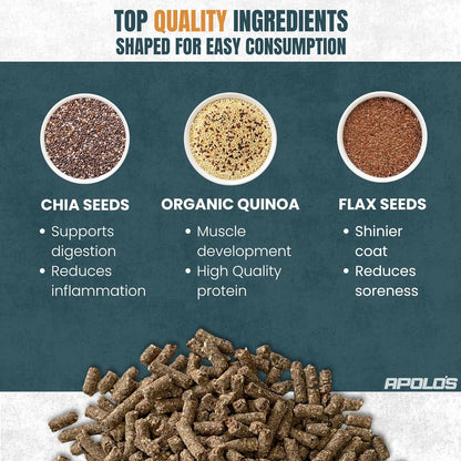 Greenfit APOLO'S 100% Natural Horse Supplement for Daily Feeding – Joint Support, Coat Shine & Strength | Flaxseed, Quinoa, Chia | 10 LB Bag