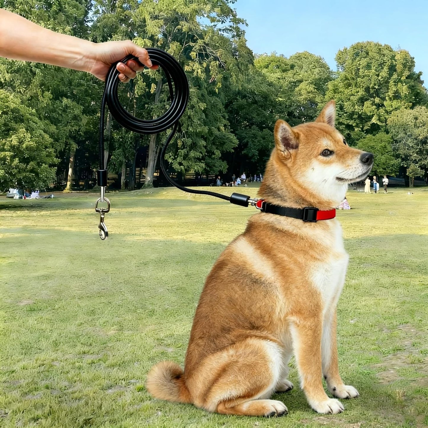 Dog Leash Dog Tie Out Cable to Run Dogs Tether Leash Runner Cable Steel Chew Proof Design for Dogs Outdoor Use (Black, 10 feet)