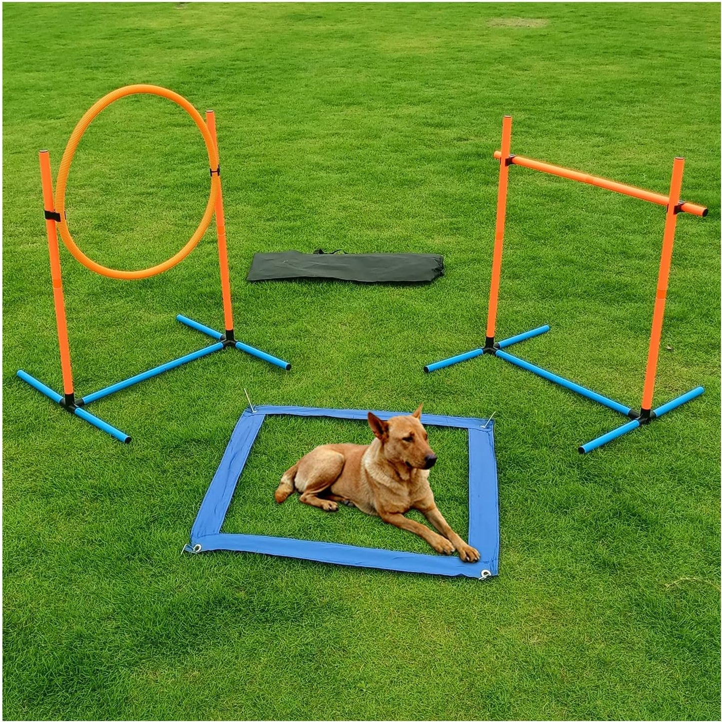 Dog Agility Training Equipment, Dog Obstacle Course Training Starter Kit Pet , Jump Pole, Jump Ring, Pause Box,Storage Bag,Dog Agility Course,Dog Hurdles,Dog Jumps,Outdoor or Indoor Game(3-Sets)