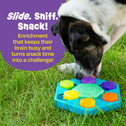 Brightkins Spin & Seek Hexagon Treat Puzzle, Outdoor Puzzle Board, Interactive Dog Toys, Dog Birthday, Enrichment Slow Feeder Bowls, Puppy Teething and Chewing, Stimulating Automatic Feeder