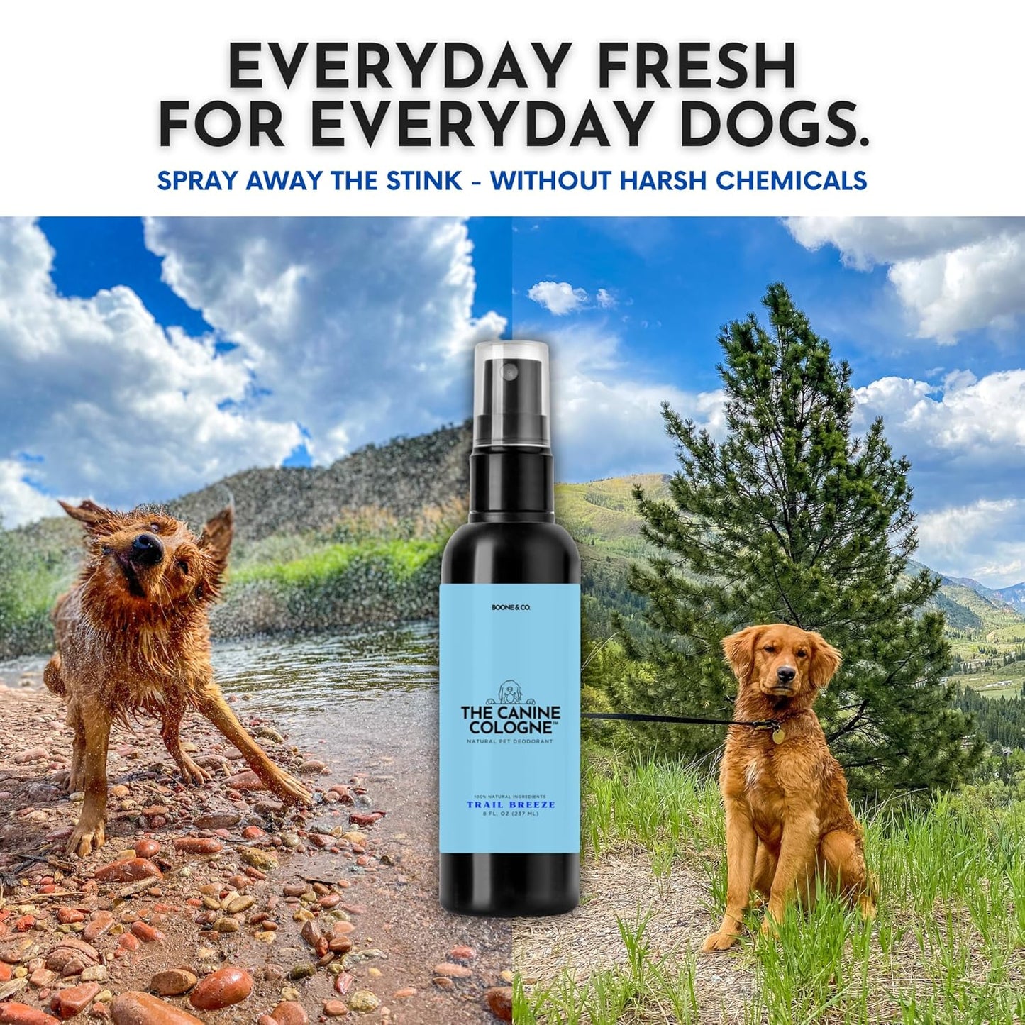 Boone & Co. Canine Cologne Spray for Dogs – 8 oz | Pet-Safe Dog Deodorizer & Grooming Spray | Clean Ingredients, Long-Lasting Scent | Made in USA | 3 Signature Scents (Trail Breeze)
