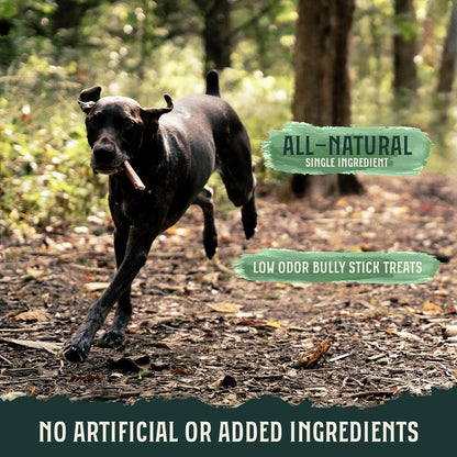 Hank & Roy All-Natural, Single-Ingredient Dog Bully Sticks, Long Lasting, Easily Digestible Dog Chews, Antibiotic and Hormone Free 6” Beef Pizzle Sticks for Dogs, Pack of 6