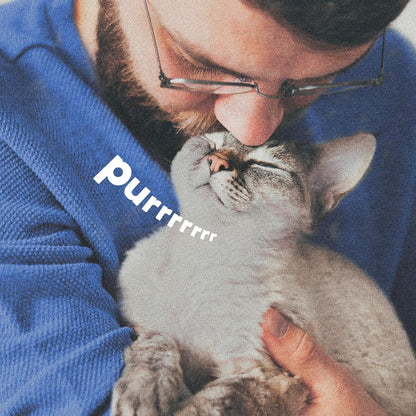 ADAMS Botanicals Flea & Tick Pet & Home Spray, for Dogs, Cats and Home, 16 oz