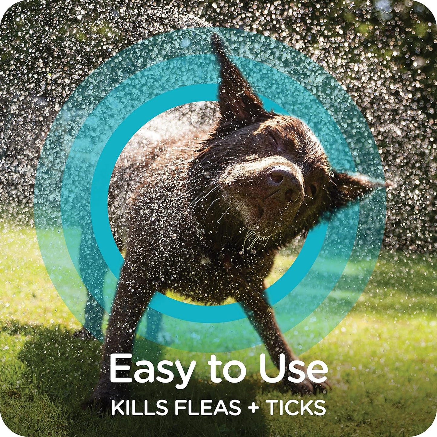 Sergeant's Guardian Flea & Tick Dog Shampoo, Clean Cotton Scent, 18 oz.