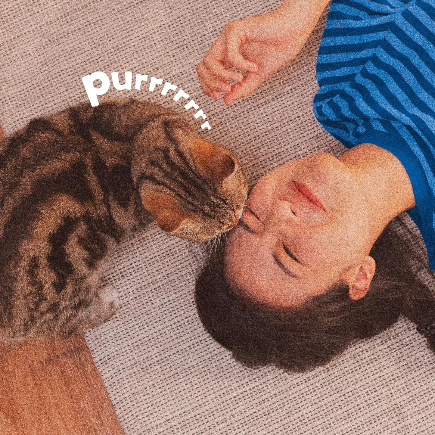 ADAMS Plus Flea & Tick Carpet Powder, Kills Fleas and Ticks On Contact, Kills All Stages of The Flea Life Cycle, 30 Day Protection, Freshens and Deodorizes, Treats Up to 400 Square Feet, 16 Ounces