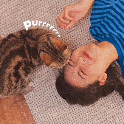 ADAMS Plus Flea & Tick Carpet Powder, Kills Fleas and Ticks On Contact, Kills All Stages of The Flea Life Cycle, 30 Day Protection, Freshens and Deodorizes, Treats Up to 400 Square Feet, 16 Ounces