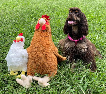 HDP Rooster Size:12 Inch Color:White Rooster