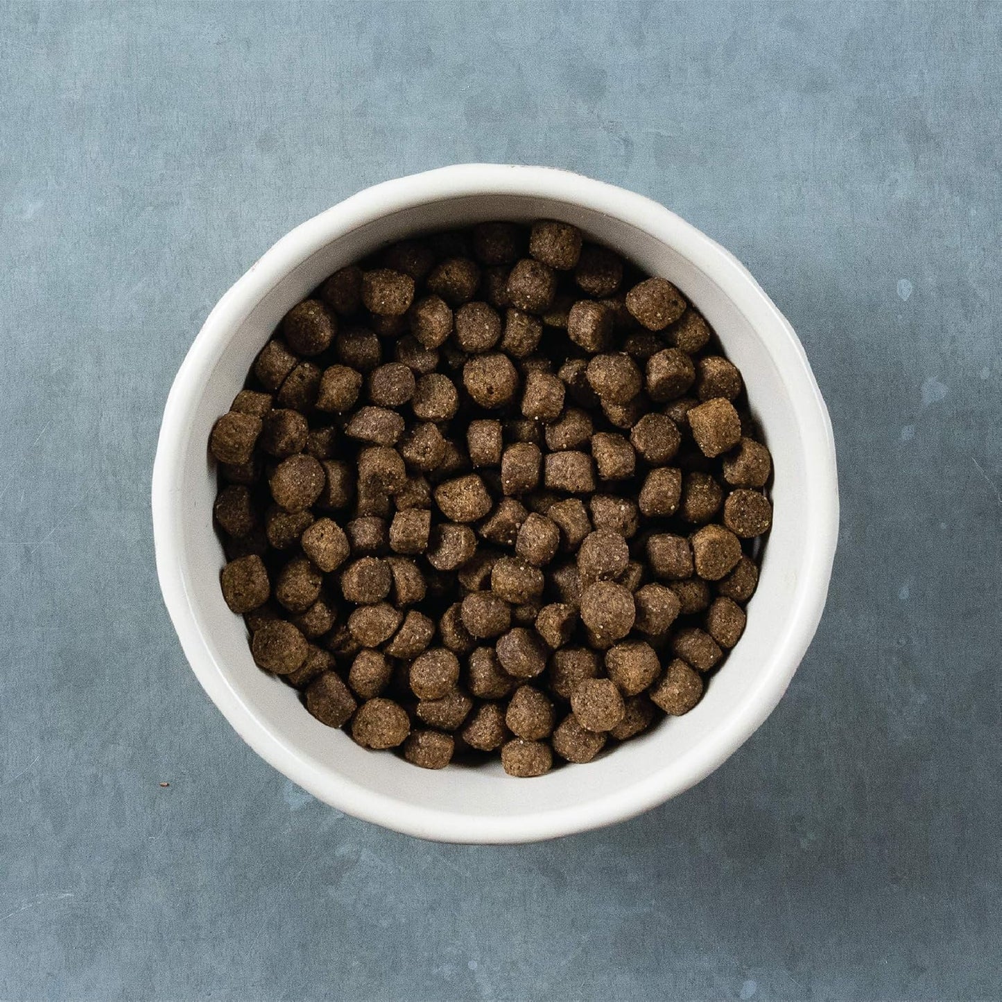 Evolve Pet Food Classics Deboned Beef, Barley and Bison Recipe Dog Food, 3.5-pounds