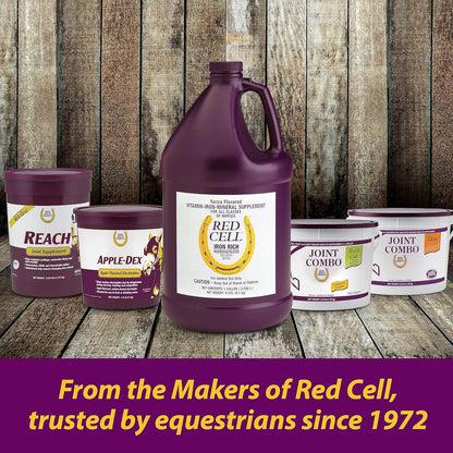 Farnam Horse Health Apple-Dex Apple Flavored Electrolytes for Horses 5 pound