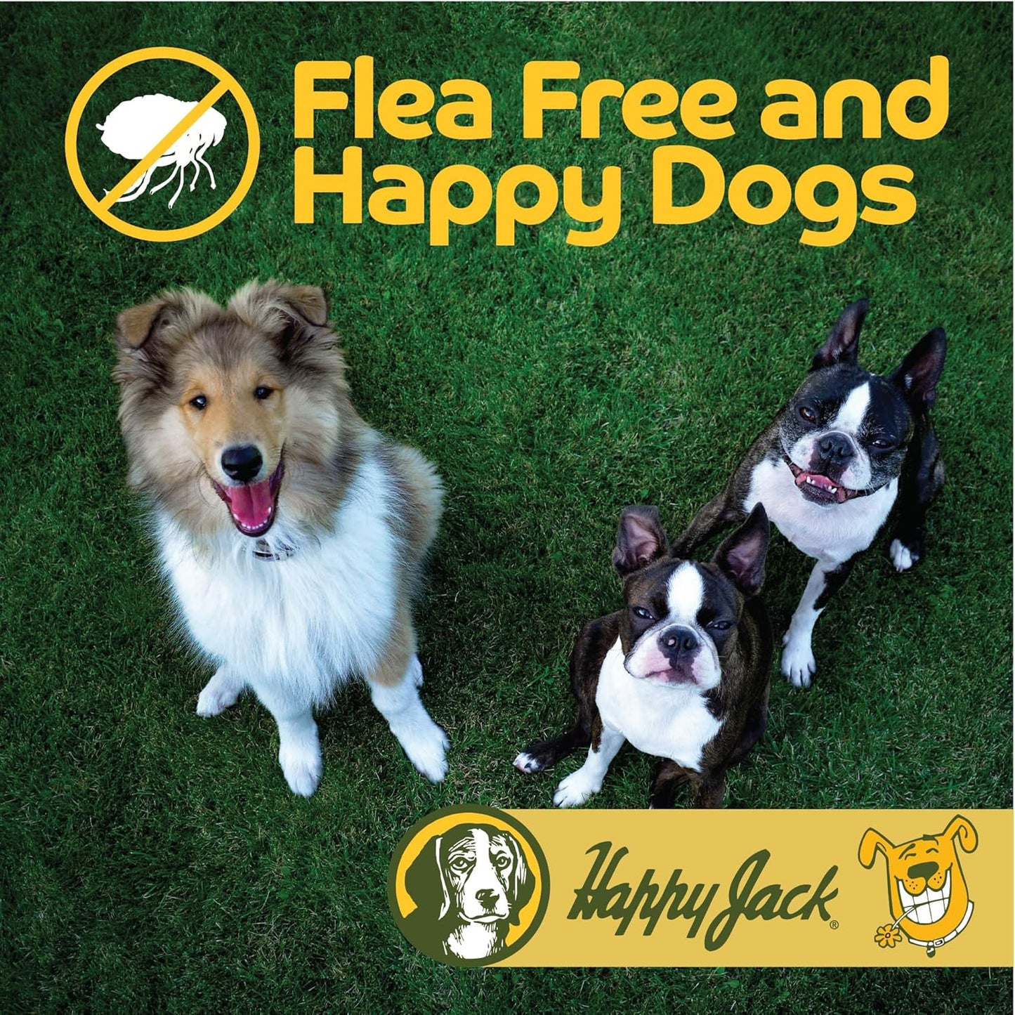 Happy Jack Flea and Tick Powder for Dogs & Puppies, Flea Powder for Flea Treatment & Control, Kills Pests, Ticks & Lice, Odorless & Non-Staining, Dust on Sleeping Quarters & Dogs (5 oz)