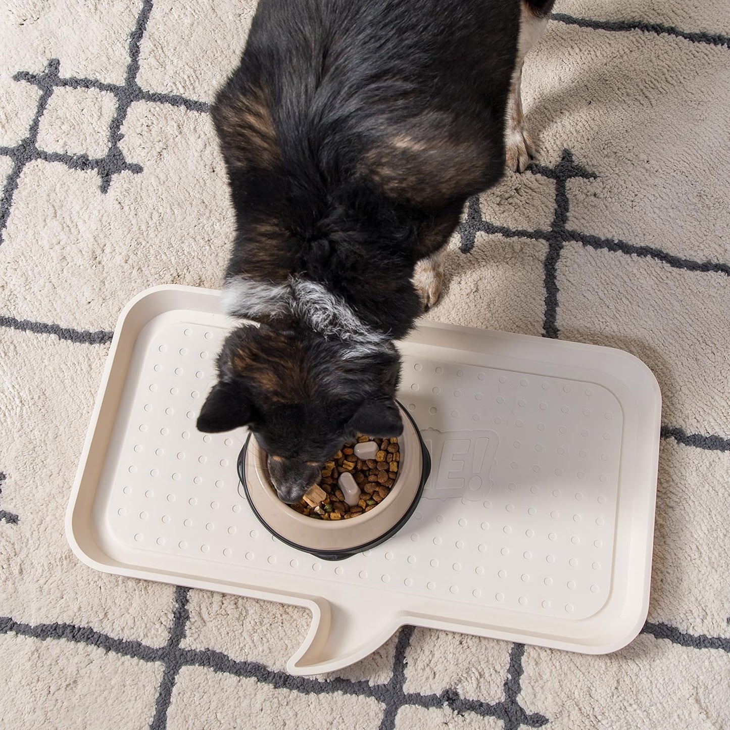 IRIS USA 4-Cup Slow Feeder Bowl, Anti-Choking & Anti-Slip Puzzle Dish for Healthy Digestion, Long Snout Dogs & Cats, BPA & PVC-Free, Beige/Black