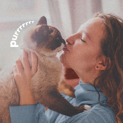 ADAMS Plus Flea & Tick Dog and Cat Spray, Kills Fleas, Ticks and Mosquitoes, 32 Fl Oz