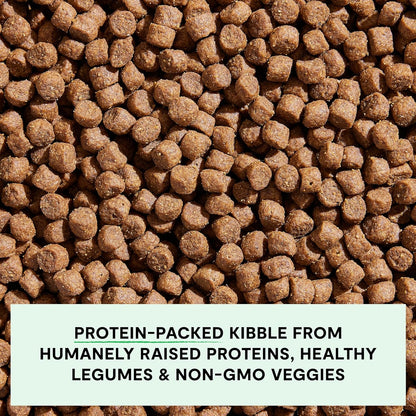 Open Farm, Grain-Free Dry Dog Food for Senior Dogs, Complete & Balanced Kibble to Support Joints & Mobility, Sustainably & Ethically Sourced Ingredients, Chicken & Turkey Recipe for Seniors, 4lb Bag