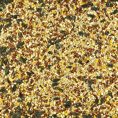 Kaytee All American Wild Bird Food Seed Blend, 5 Pound