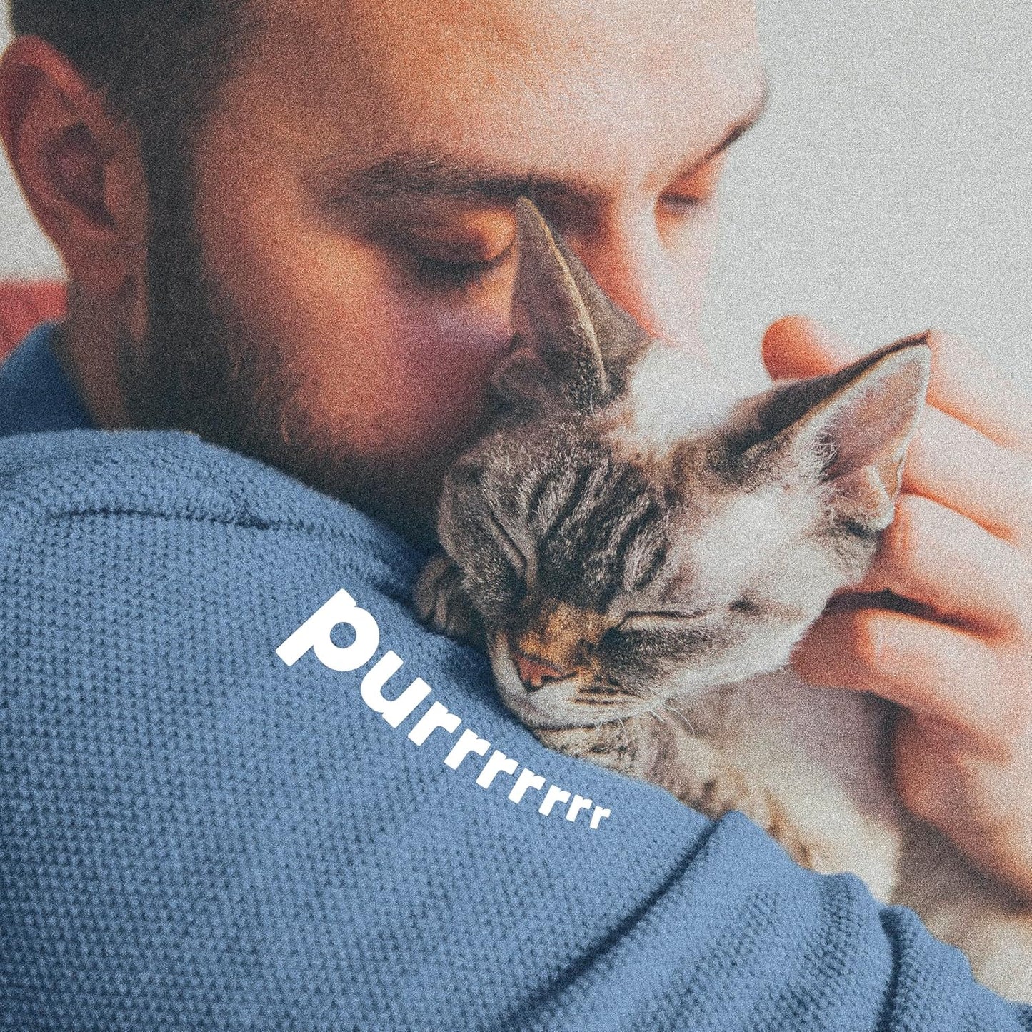 ADAMS Plus Flea & Tick Foaming Shampoo & Wash for Cats & Kittens Over 12 Weeks, Sensitive Skin Flea Treatment for Cats & Kittens, Kills Adult Fleas, Ticks and Lice On Contact, 10 Ounces