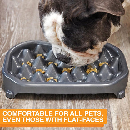 Neater Pet Brands Neater Slow Feeder Dog Bowls, Slows Down Fast Eaters to Help Digestion & Prevent Overeating, Non-Slip Food Bowl, BPA-Free, Holds 2.5 Cup of Food for Small to Medium Breed or Puppy