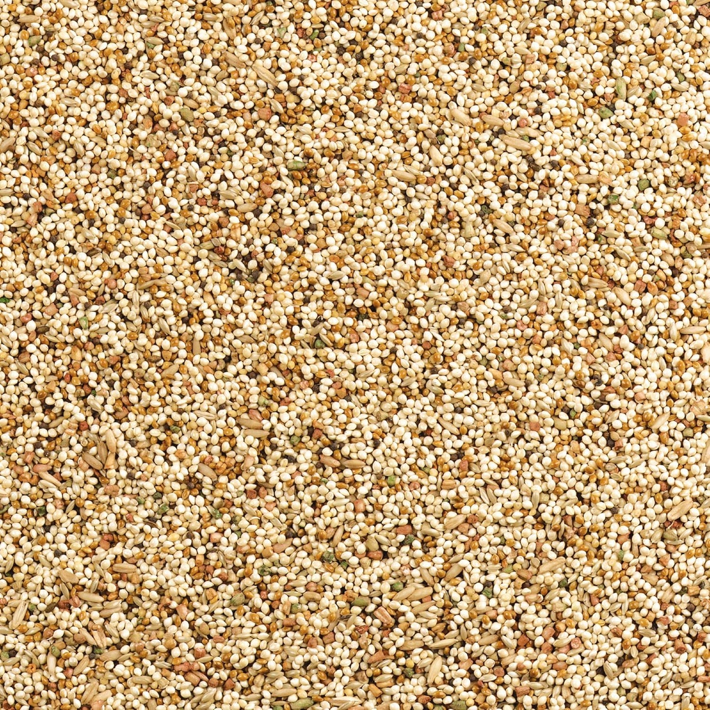 Wild Harvest Daily Blend Nutrition Diet For Parakeet, Canary And Finch 10 Pounds