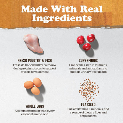 Now Fresh Grain-Free Dry Cat Food with Turkey, Salmon & Duck, Healthy Kibble for Adults Made with Real Meat & Fish, Chicken-Free, with Pumpkin & Probiotics for Sensitive Stomachs, 3 lb Bag