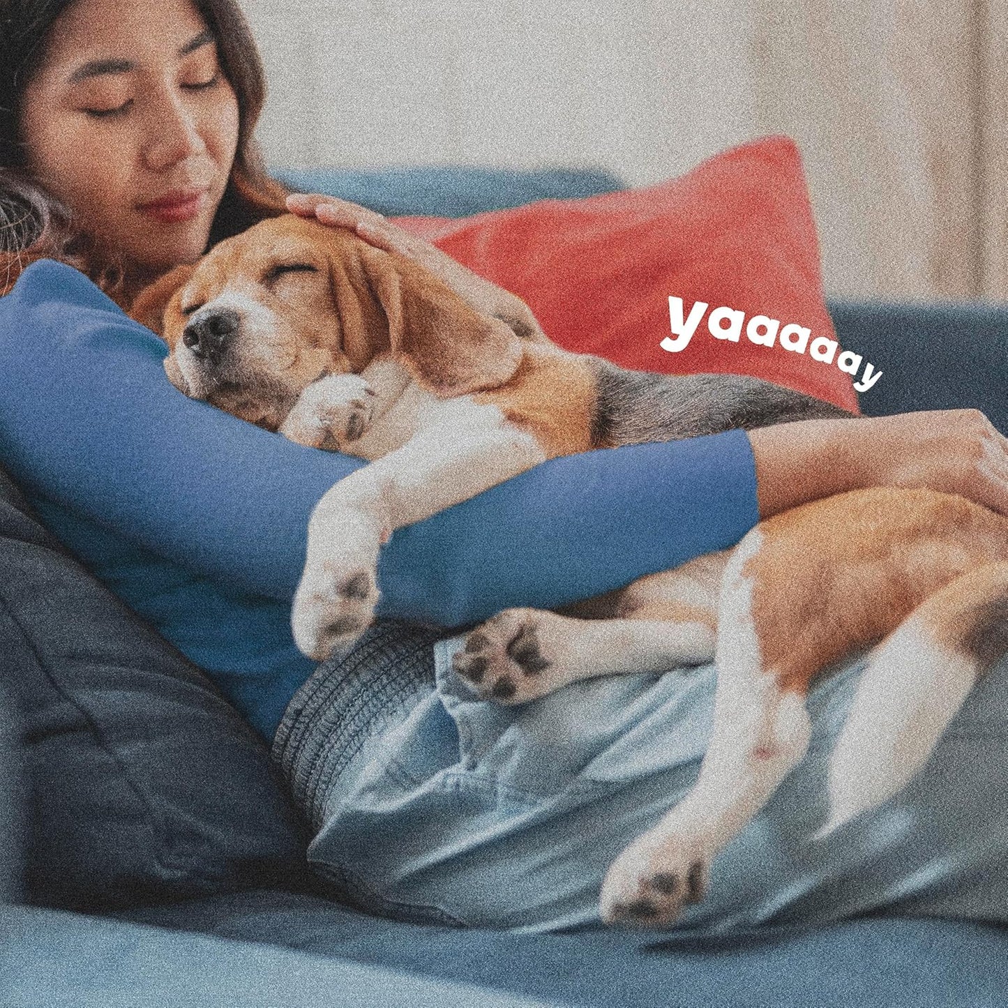 ADAMS Flea & Tick Home Spray, Kills Fleas, Flea Eggs, Flea Larvae, Bed Bugs, Ticks, Ants (Except Carpenter, Harvester, Pharaoh & Fire Ants), Cockroaches, Spiders, & Mosquitoes In The Home, 24 Fl Oz