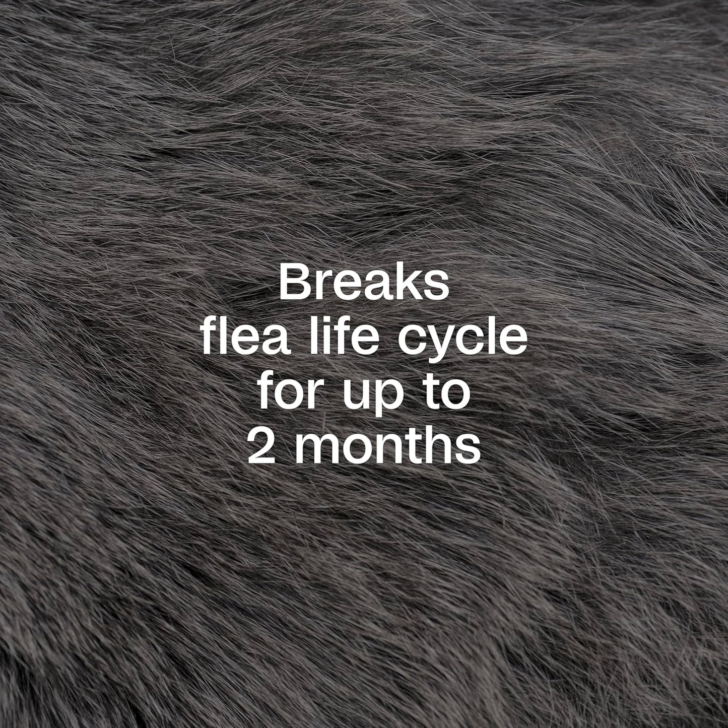 ADAMS Plus Flea & Tick Dog and Cat Spray, Kills Fleas, Ticks and Mosquitoes, 32 Fl Oz