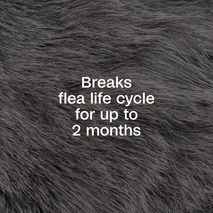 ADAMS Plus Flea & Tick Dog and Cat Spray, Kills Fleas, Ticks and Mosquitoes, 32 Fl Oz