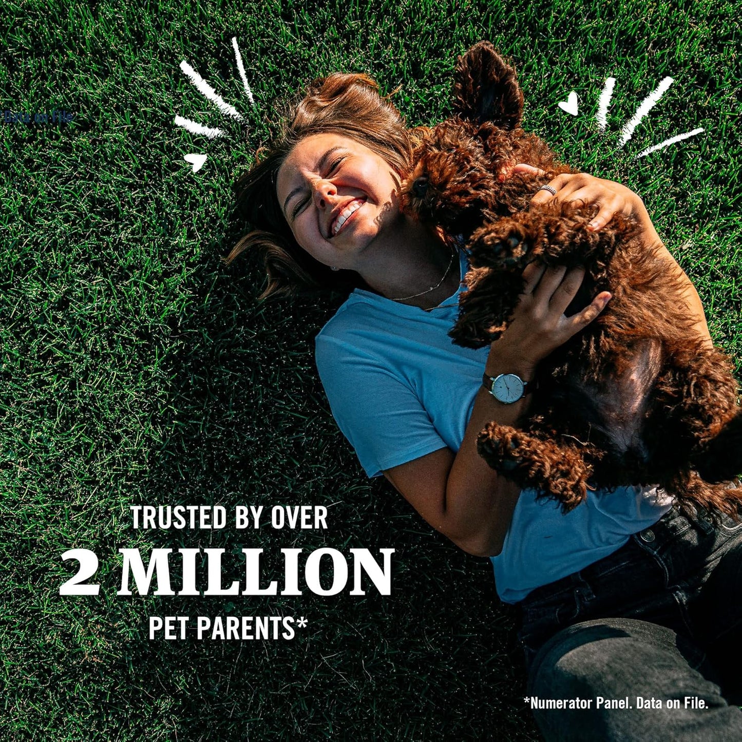 PetArmor Plus Flea and Tick Prevention for Dogs, Large Dog Flea and Tick Treatment, 3 Doses, Waterproof Topical, Fast Acting (45-88 lbs)