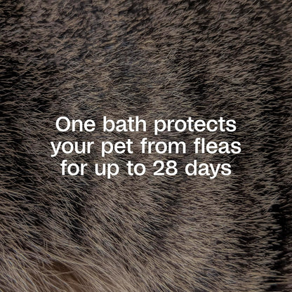 ADAMS Plus Flea & Tick Shampoo with Precor IGR for Cats, Kittens, Dogs & Puppies Over 12 Weeks of Age, Sensitive Skin Flea Treatment, Kills Adult Fleas, Flea Eggs, Ticks, and Lice, 24 Ounces