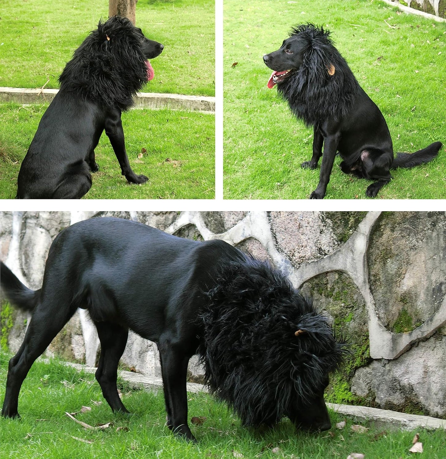 Onmygogo Lion Mane Wig for Dogs with Ears, Funny Pet Costumes for Halloween Christmas