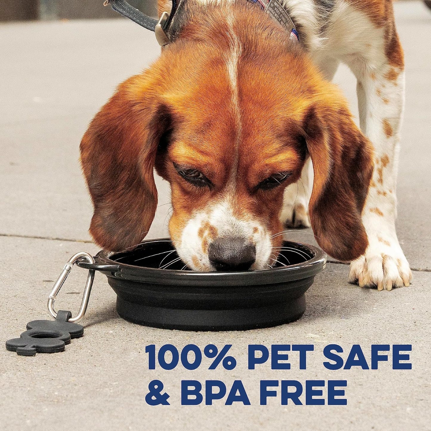 Bonza by Leash Boss Collapsible Dog Slow Feeder Bowl, Portable Silicone Travel Bowl for Food & Water, Slow Eating for Large, Medium, & Small Sized Breeds, Anti-Choking, BPA-Free, Dishwasher Safe
